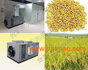 多功能優質稻谷烘干機 農副產品加工的革新力量